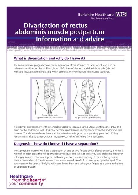 divarication  rectus abdominis muscle postpartum information