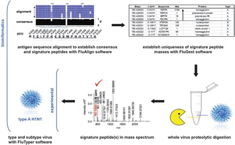 The Workflow Of Rt Pcr Esi Ms Analysis Color Figure Can Be Viewed At