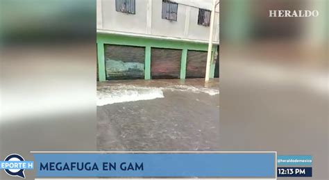 Mega Fuga inunda varias calles en CDMX Vídeo Dailymotion