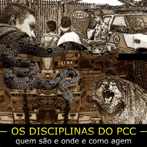 Quem São Os Disciplinas Do Pcc 1533 Como E Onde Atuam