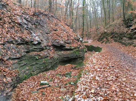 Sonnenberg Schwälblesklinge Heslacher Wasserfälle Stuttgart Süd