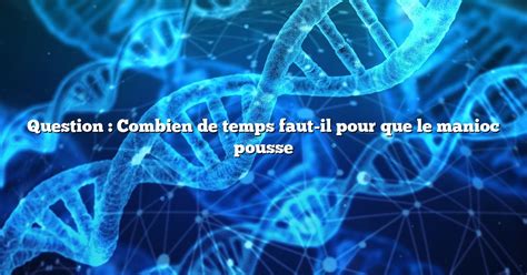 Question Combien De Temps Faut Il Pour Que Le Manioc Pousse