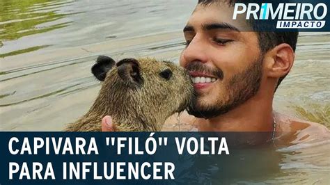 Capivara Volta Para Influencer Ap S Decis O Da Justi A Do Am Primeiro