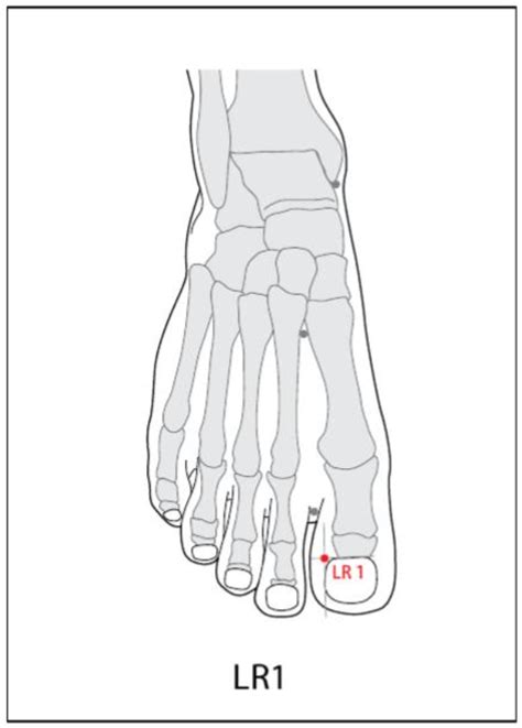 Lr 1 Acupuncture Point Acupuncture Point Locations Review