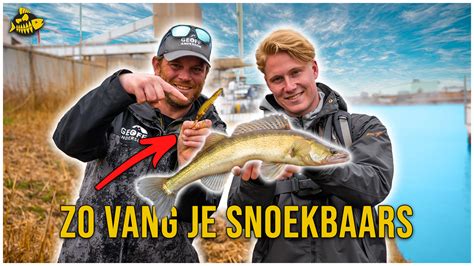 Video Snoekbaars Vanaf De Kant Op Het Twentekanaal Met