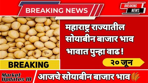 आजचे सोयाबीन बाजार भाव अकोला अमरावती वाशीम सोयाबीन भाव Soybean