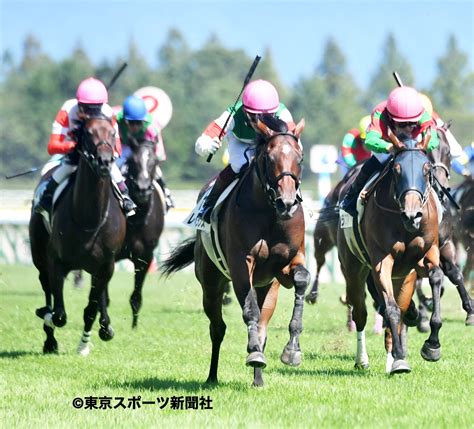 東スポ 写真部 On Twitter 【競馬】 2020年9月6日 新潟県新潟市・新潟競馬場 5 R メイクデビュー新潟（2歳新馬 芝