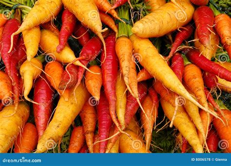 Cenouras Coloridas Foto De Stock Imagem De Cenouras Vegetariano