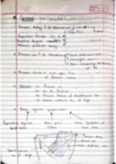 SOLUTION Femoral Triangle Anatomy Short Notes Studypool