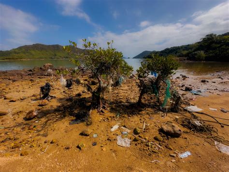 double haven drone  phone