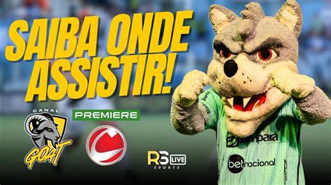 Brusque X Paysandu Informa Es Do Jogo Ingressos E Onde Assistir