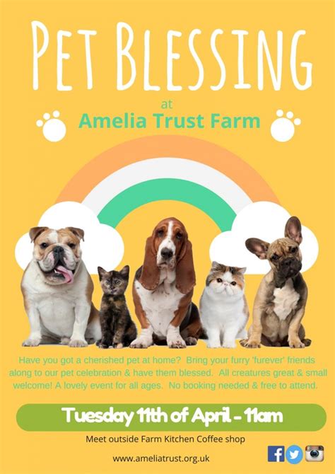 Pet Blessing at Amelia Trust Farm | Wales Synod