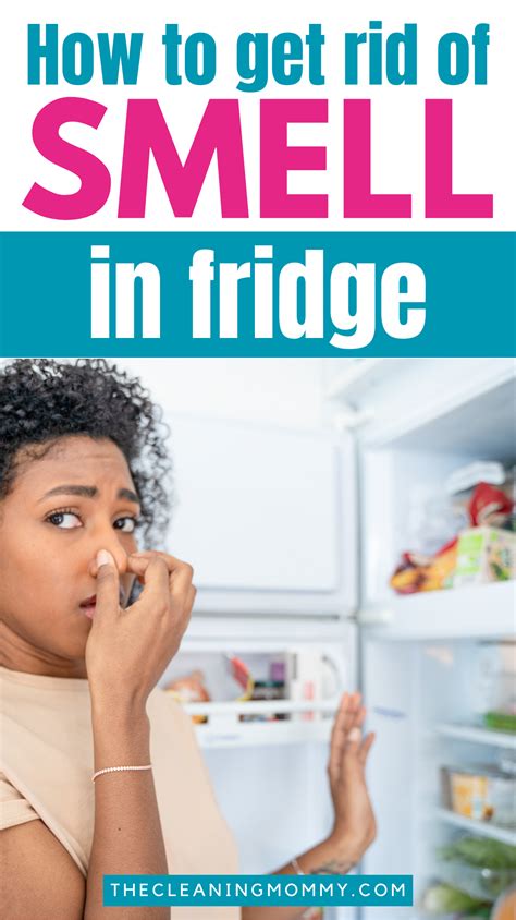 How To Get Rid Of Smell In Fridge In 2024 Fridge Smells Refrigerator