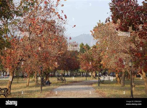 Fatima Jinnah Park Islamabad Hi Res Stock Photography And Images Alamy