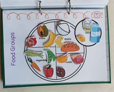 Food Group Sorting Activity Game Food Plate Activity Homeschool Activity Eating Healthy Busy