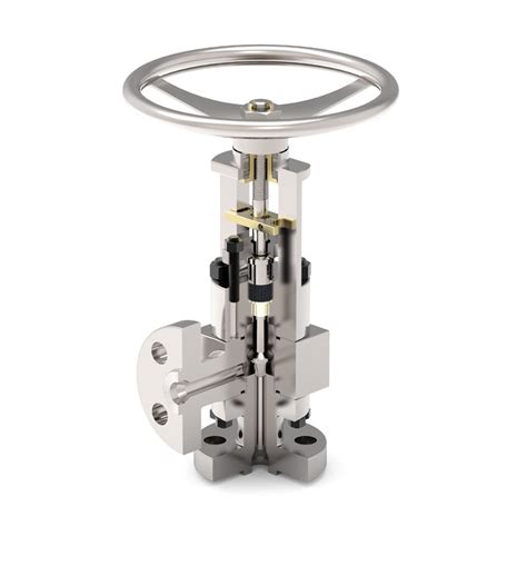 Pe jos dezvălui Intuiţie angle globe valve fantomă martor protecţie