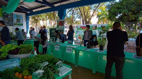 Semana do Meio Ambiente terá cursos gratuitos e atividades em Americana