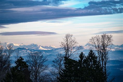 Winterschlaf Bergwirtschaft Tiefmatt