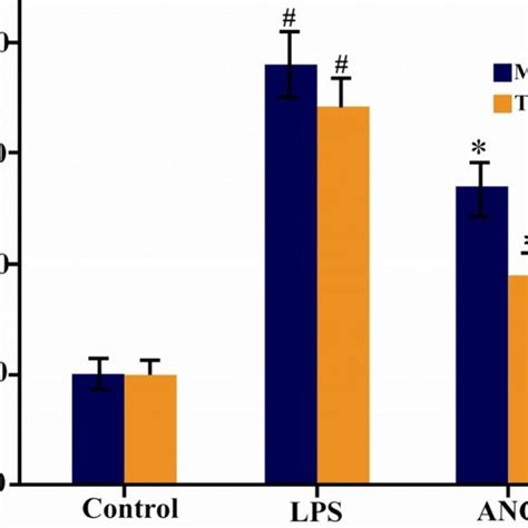 Analysis Of Mmp And Timp Gene Expression By Real Time Pcr