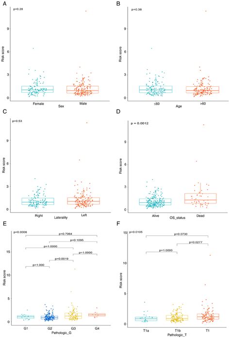 The Relationship Between Risk Score And A Sex B Age C Tumor