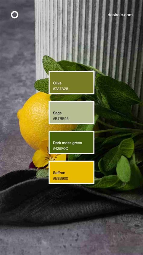 15+ best sage color palette ideas for designers (HEX codes inside ...