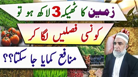 How To Achieve Profit From Crops During These Days Crop Reformer