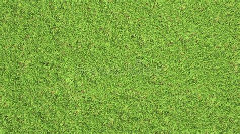 Low Altitude Top Down Aerial View Of Green Grass Lawn Stock Photo