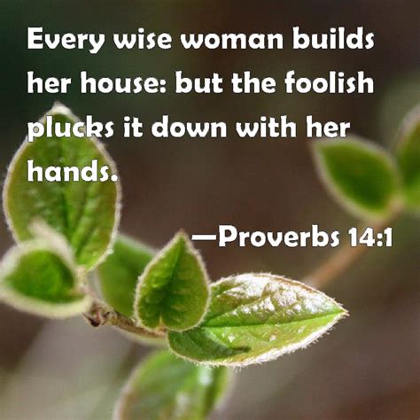 Proverbs 14 1 Every Wise Woman Builds Her House But The Foolish Plucks