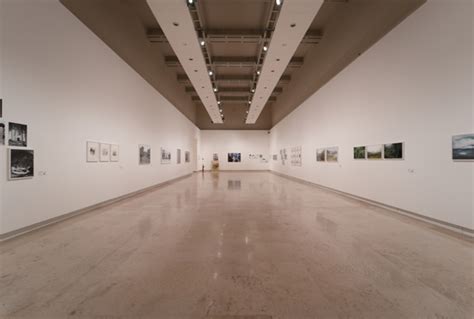 Fotografia Al Via La Terza Edizione Del Premio Di Terna Tiscali Ambiente