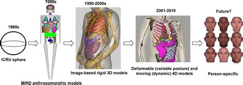 Evolution Of Computational Models Of The Human Anatomy From The Crude