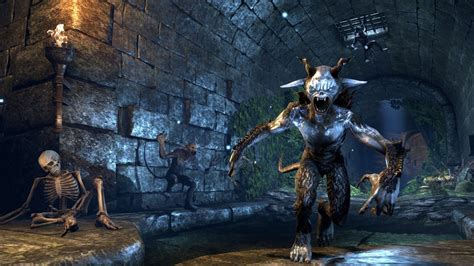 The Elder Scrolls Online Pc Multiplayer It