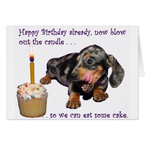 Dachshund Birthday Card | Zazzle.com