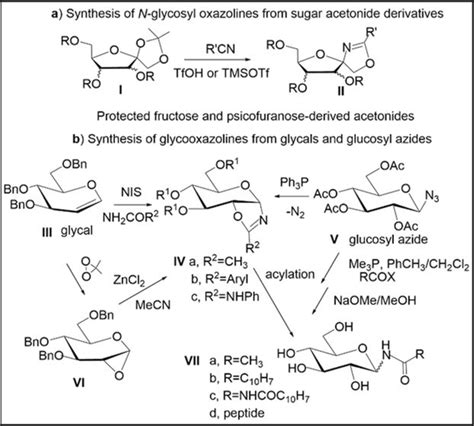 Stereoselective Synthesis Of N Glycosyl Oxazolines And Evaluation Of