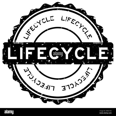 Grunge Black Lifecycle Word Round Rubber Seal Stamp On White Background