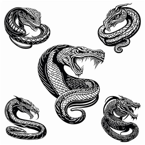 Premium Vector Snakes With Different Designs