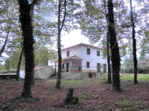 Magnificent Farm With 6.8 Ha. Located In Estarreja, Aveiro District, Portugal For Sale (11662941)