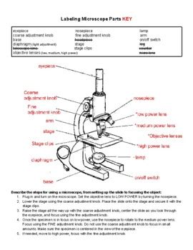 Parts Of A Microscope Worksheet Answers