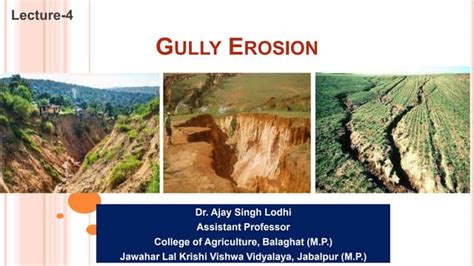 Gully Erosion.pptx