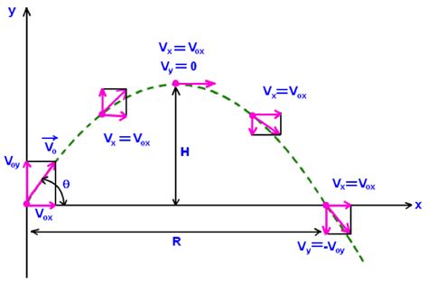 Projectile Motion The Free Fall Of Motion Of A Chegg