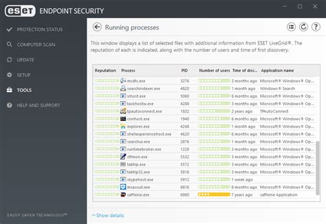 Business Endpoint Security For Windows Eset