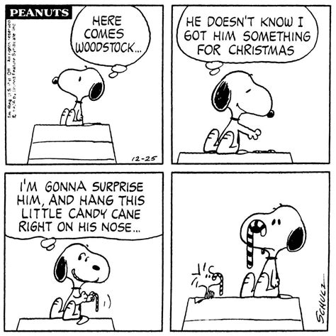 Peanuts Snoopy Comics Snoopy Cartoon Peanuts Cartoon Peanuts Gang