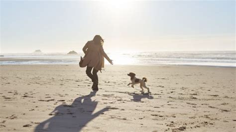 Playas En Galicia Para Ir Con Perros En Verano Descuentos Ideal Gallego