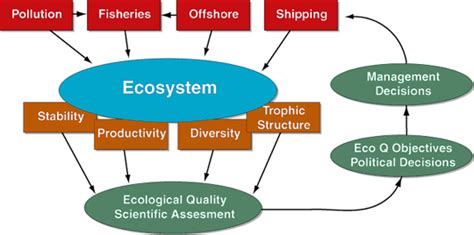 Schematic Representation Of Ecosystem Based Management Download