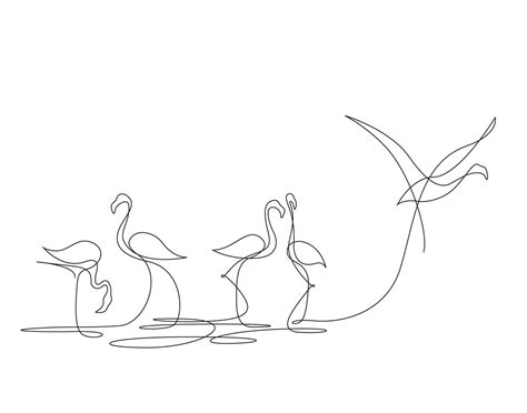 Flamingo Drawing Outline at GetDrawings | Free download