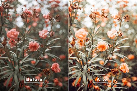 Matte Nature Lightroom Preset And Luts Crella