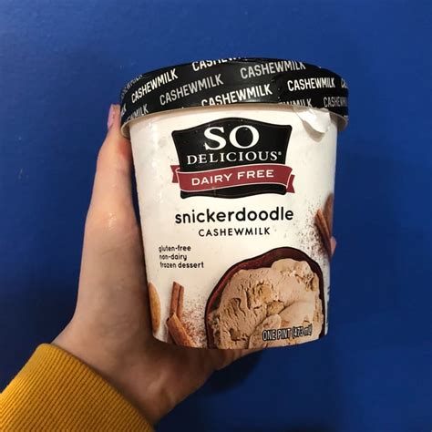 So Delicious Dairy Free Snickerdoodle Cashewmilk Ice Cream Review