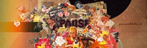 theme designs  behance