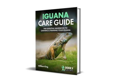 338 Of The Best Iguana Names: Male, Female, Cool, Blue, More