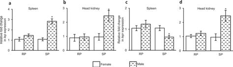 Sex Related Differential Expression Of Ab Lep And Cd Lepr In