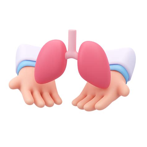 specialist doctor Take care of the organs in the body. 3D medical